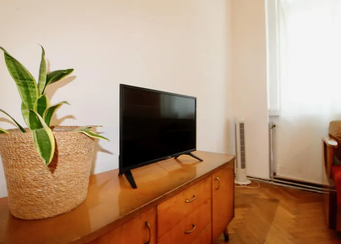 Bright Elegant Flat In Center